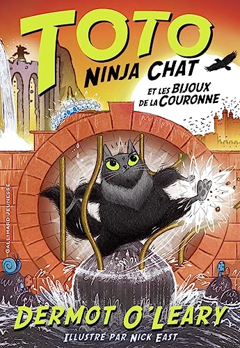 Toto Ninja chat et les bijoux de la couronne