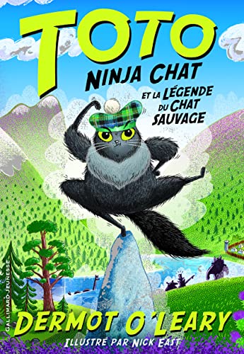 Toto ninja chat et la légende du chat sauvage von GALLIMARD JEUNE