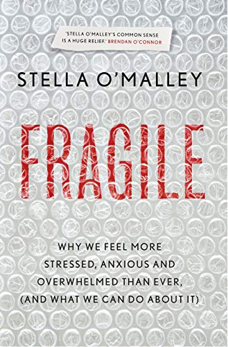 Fragile: Why we feel more anxious, stressed and overwhelmed than ever, and what we can do about it von Gill Books