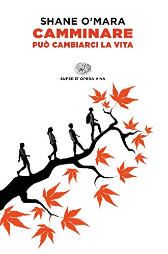 Camminare può cambiarci la vita (Super ET. Opera viva) von Einaudi