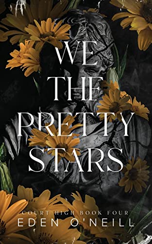 We the Pretty Stars: Alternative Cover Edition (Court High, Band 4)