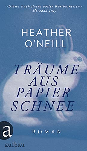 Träume aus Papierschnee: Roman