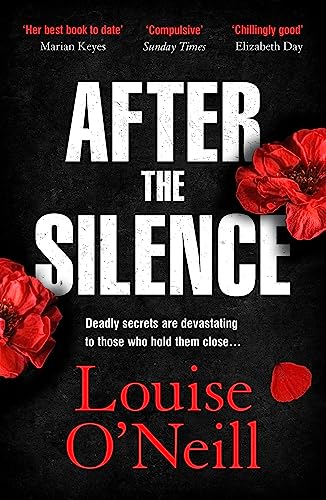 After the Silence: The An Post Irish Crime Novel of the Year von Quercus Publishing Plc