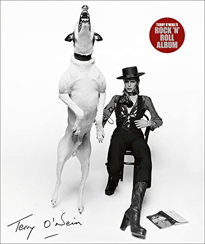 Terry O'Neill's Rock 'n' Roll Album: The A-Z of Rock 'N' Roll von ACC Art Books