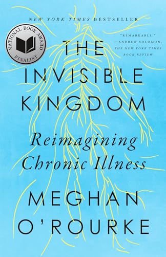 The Invisible Kingdom: Reimagining Chronic Illness von Riverhead Books