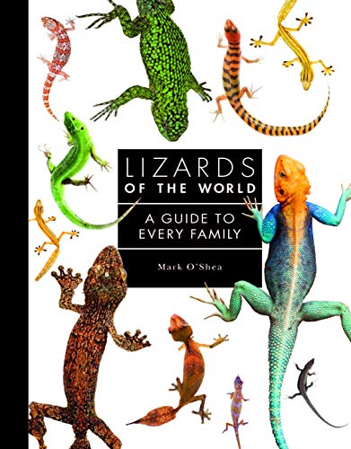 Lizards of the World: A Guide to Every Family von Ivy Press