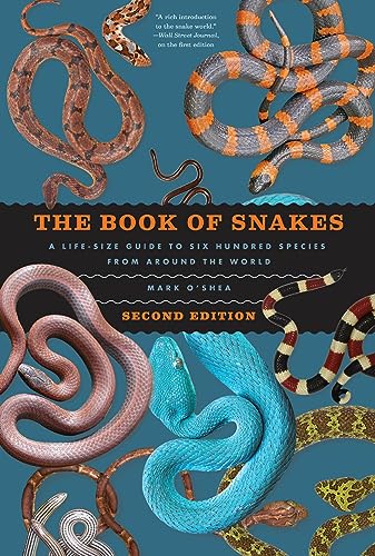 The Book of Snakes: A Life-Size Guide to Six Hundred Species from Around the World von University of Chicago Press