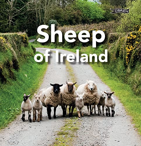 Sheep of Ireland von O'Brien Press Ltd