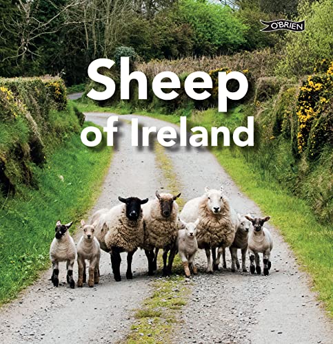 Sheep of Ireland Sheep of Ireland von O'Brien Press Ltd