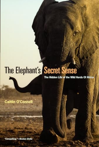 The Elephant's Secret Sense: The Hidden Life Of The Wild Herds Of Africa