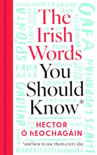 The Irish Words You Should Know: and how to use them every day von Gill Books