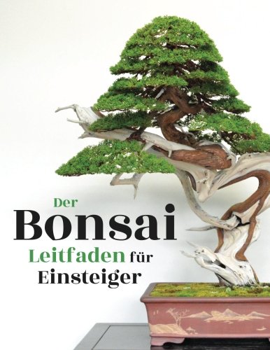 Der Bonsai Leitfaden für Einsteiger