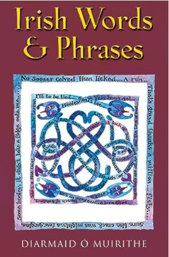 Irish Words and Phrases von Gill Books