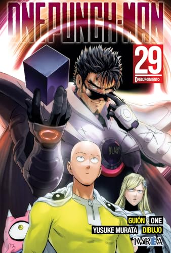 One Punch Man 29