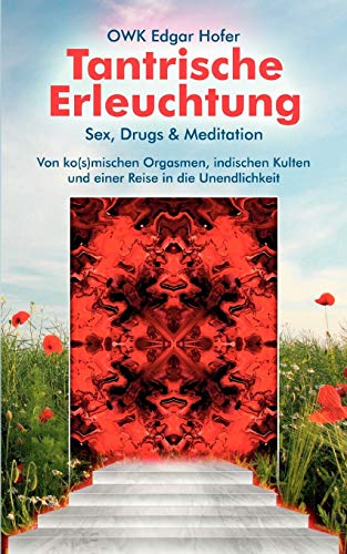 Tantrische Erleuchtung: Sex, Drugs & Meditation von Books on Demand GmbH