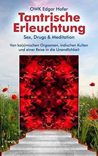 Tantrische Erleuchtung: Sex, Drugs & Meditation von Books on Demand GmbH