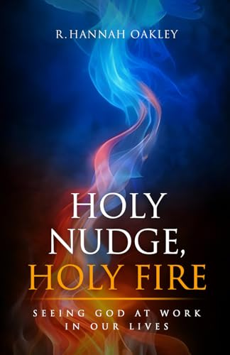 Holy Nudge, Holy Fire: Seeing God At Work in Our Lives von Panda Publishing Agency
