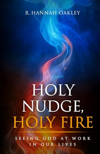 Holy Nudge, Holy Fire: Seeing God At Work in Our Lives von Panda Publishing Agency