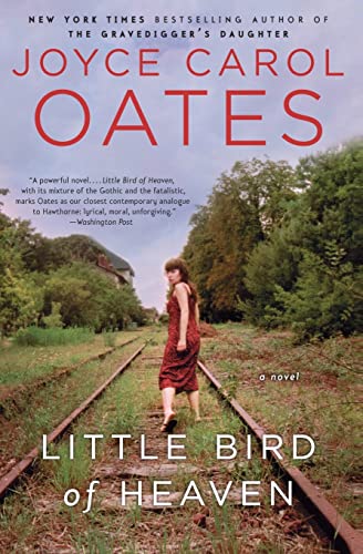 Little Bird Of Heaven: A Novel