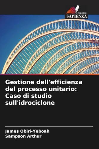 Gestione dell'efficienza del processo unitario: Caso di studio sull'idrociclone von Edizioni Sapienza