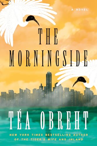 The Morningside: A Novel