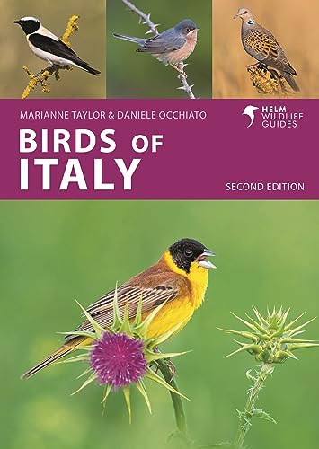 Birds of Italy: Second Edition (Helm Wildlife Guides) von Helm