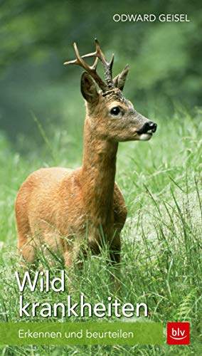 Wildkrankheiten: Erkennen und beurteilen (BLV Jagdpraxis)