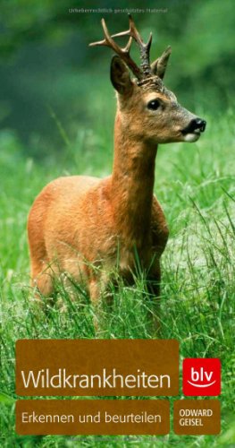 Wildkrankheiten: Erkennen und beurteilen