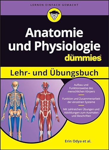 Anatomie und Physiologie Lehr- und Übungsbuch für Dummies von Wiley-VCH GmbH