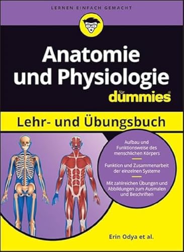 Anatomie und Physiologie Lehr- und Übungsbuch für Dummies von Wiley-VCH