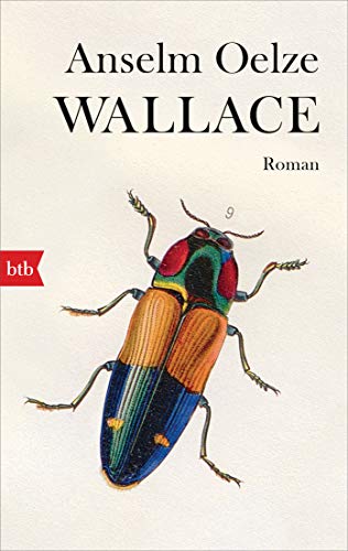 Wallace: Roman von btb Taschenbuch
