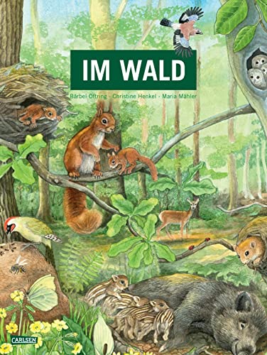 Im Wald: Großformatiges Pappbilderbuch für Kinder ab 3 Jahren über unsere heimischen Wälder und ihre tierischen Bewohner Im Wald: Großformatiges Pappbilderbuch für Kinder ab 3 Jahren über unsere heimischen Wälder und ihre tierischen Bewohner