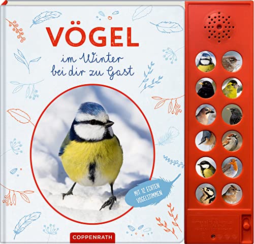 Vögel im Winter bei dir zu Gast: Mit 12 echten Vogelstimmen