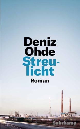 Streulicht: Roman (suhrkamp taschenbuch)