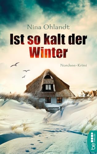 Ist so kalt der Winter: Nordsee-Krimi (John Benthien: Die Jahreszeiten-Reihe)