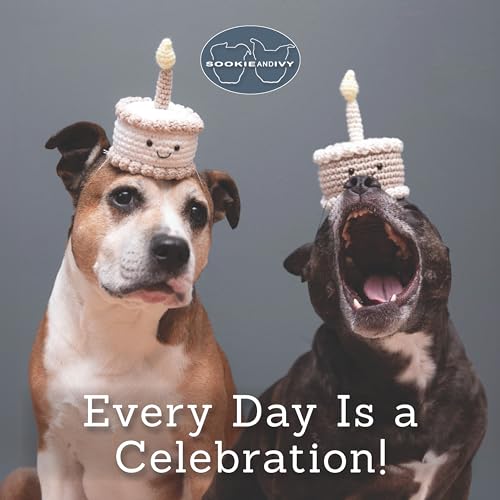 Sookie and Ivy Every Day Is a Celebration