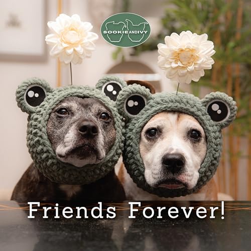 Sookie and Ivy Friends Forever! von Fox Chapel Publishing