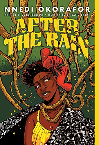 After the Rain: A Graphic Novel