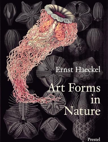Art Forms in Nature: The Prints of Ernst Haeckel von Prestel