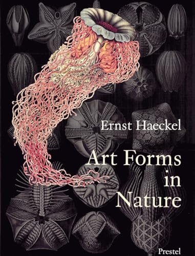 Art Forms in Nature: The Prints of Ernst Haeckel