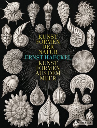 Ernst Haeckel: Kunstformen der Natur - Kunstformen aus dem Meer von Prestel