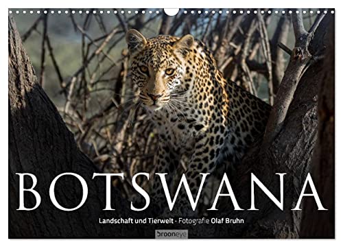 Botswana – Landschaft und Tierwelt (Wandkalender 2025 DIN A3 quer), CALVENDO Monatskalender von CALVENDO