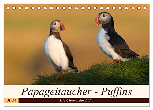 Papageitaucher - Puffins (Tischkalender 2024 DIN A5 quer), CALVENDO Monatskalender von CALVENDO
