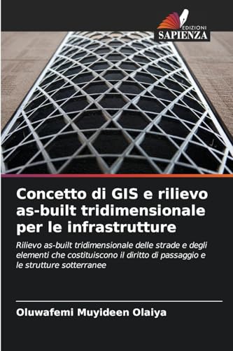 Concetto di GIS e rilievo as-built tridimensionale per le infrastrutture: Rilievo as-built tridimensionale delle strade e degli elementi che ... di passaggio e le strutture sotterranee von Edizioni Sapienza