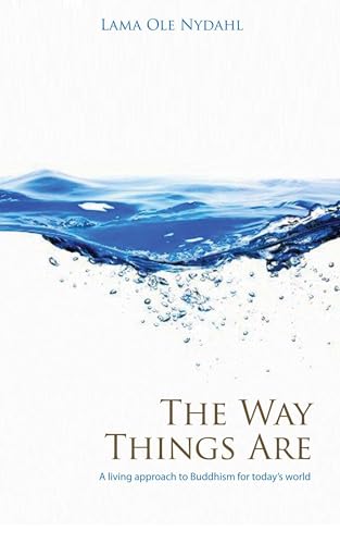 The Way Things Are: A Living Approach to Buddhism For Today's World (Buddhism (O Books))