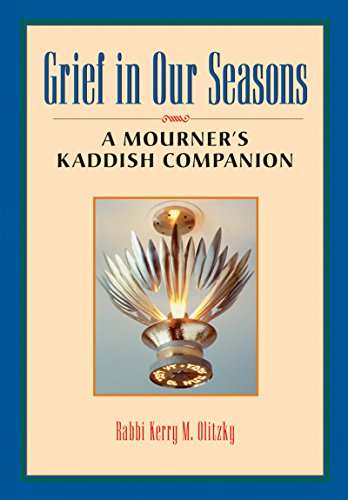 Grief in Our Seasons: A Mourner's Kaddish Companion von Jewish Lights Publishing