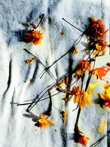 Covid Diary von Fall Line Press