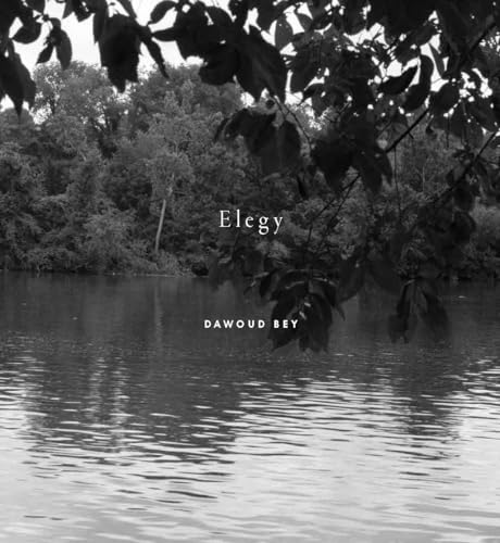 Dawoud Bey: Elegy von Aperture