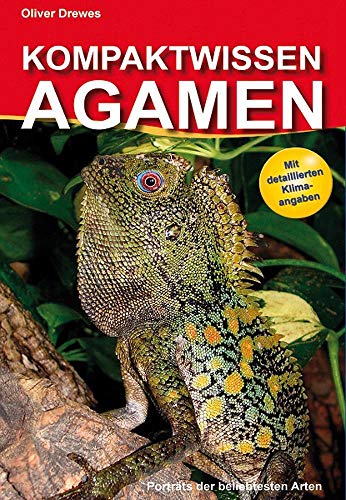 Kompaktwissen Agamen: Porträts der beliebtesten Arten. Mit detaillierten Klimaangaben