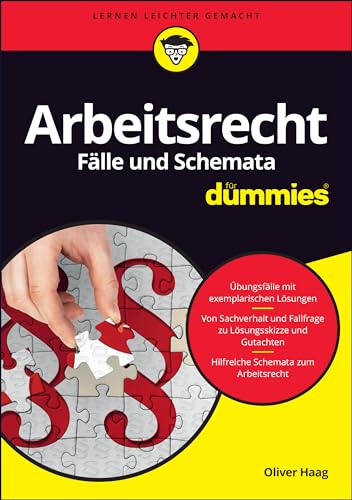 Arbeitsrecht Fälle und Schemata für Dummies von Wiley